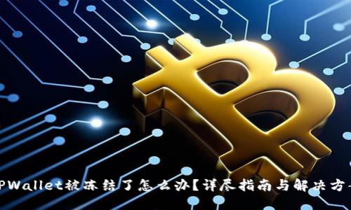 TPWallet被冻结了怎么办？详尽指南与解决方案