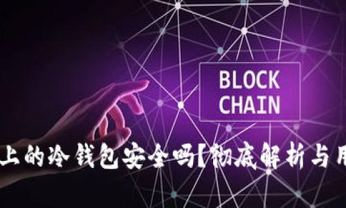 TPWallet上的冷钱包安全吗？彻底解析与用户白皮书