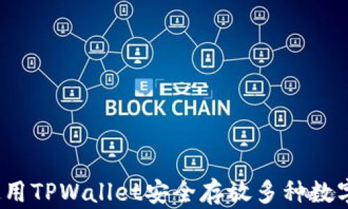 
如何使用TPWallet安全存放多种数字货币？