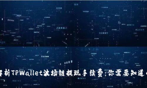 深入解析TPWallet波场链提现手续费：你需要知道的一切