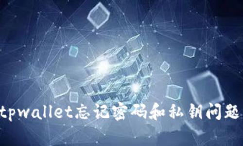 如何解决tpwallet忘记密码和私钥问题：全面指南