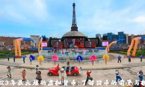 
2023年最火爆的虚拟货币：了解猪币的前景与挑战