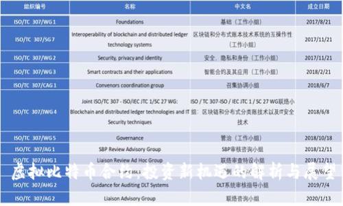 虚拟比特币合约：投资新机遇的解析与展望