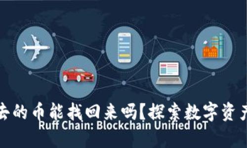 tpwallet转出去的币能找回来吗？探索数字资产恢复的可能性