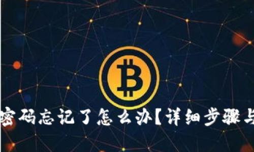 TPWallet密码忘记了怎么办?详细步骤与解决方案