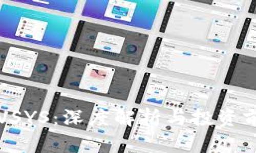 虚拟币VSYS：深度解析与投资前景分析