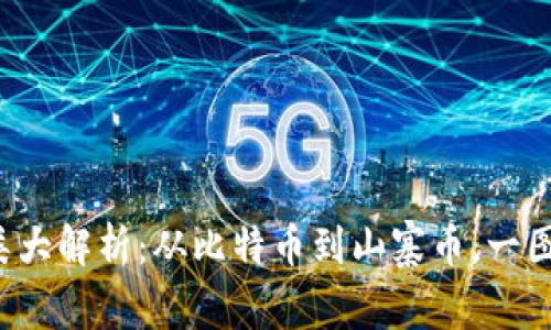 2023年虚拟币种类大解析：从比特币到山寨币，一图看懂各大币种特色