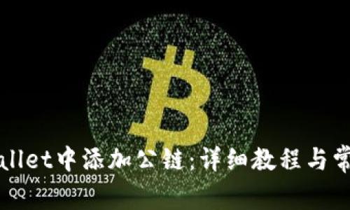 如何在TPWallet中添加公链：详细教程与常见问题解答
