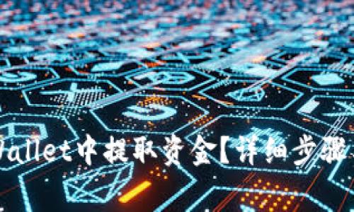 如何从TPWallet中提取资金？详细步骤与注意事项